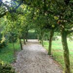 Appelbomen op voedselbos in Drenthe