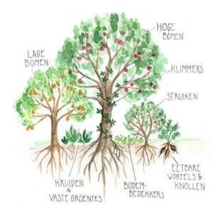 Dagje weg in Drenthe - bezoek het voedselbos