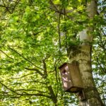 Voedselbos in Drenthe bezoeken