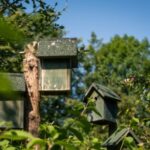 Kamperen op voedselbos in Drenthe