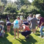 Wildplukwandeling in Voedselbos Drenthe