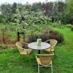 Gezellig koffiehuis en theetuin in het voedselbos Drenthe